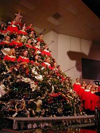 christmas tree